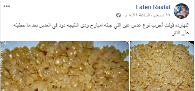 حقيقة انتشار الدود في العدس المصري 8 حقيقة انتشار الدود في العدس المصري