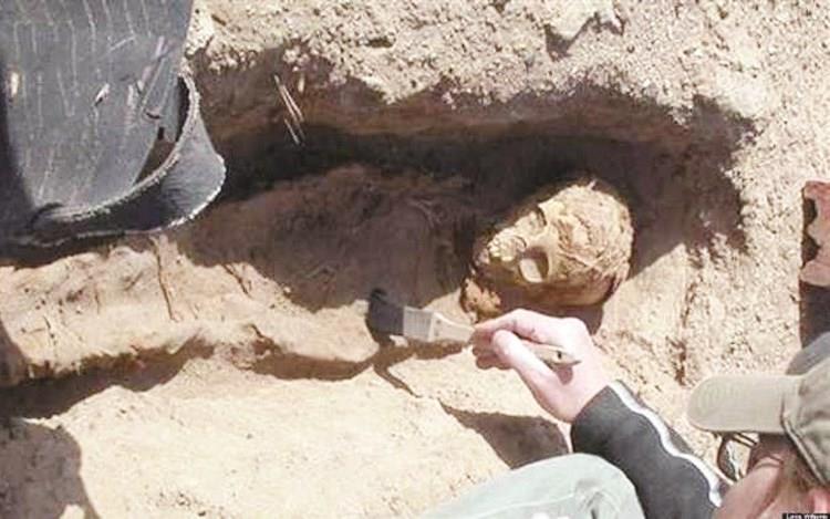 اكتشاف أثري جديد بالمنيا مقبرة بها 40 مومياء 1 اكتشاف أثري جديد بالمنيا مقبرة بها 40 مومياء