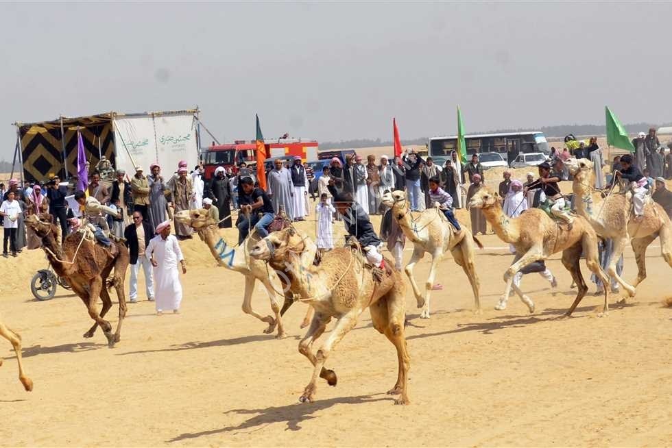 جوائز نقدية وعينية للفائزين في مهرجان الشرقية للهجن العربية 1 جوائز نقدية وعينية للفائزين في مهرجان الشرقية للهجن العربية