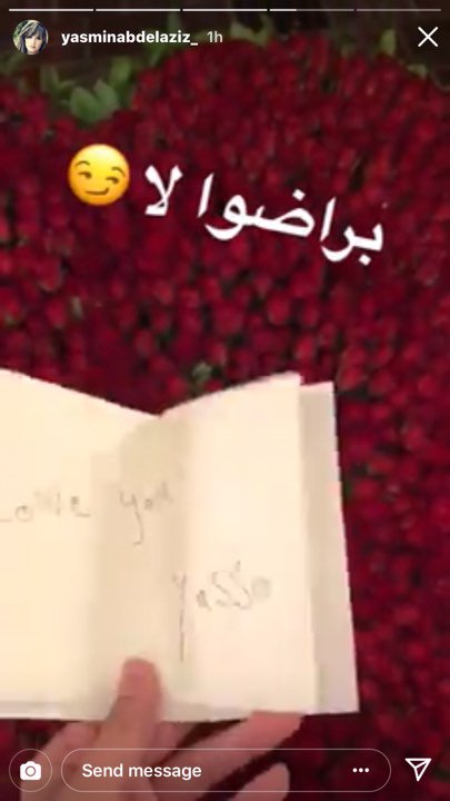 ياسمين عبد العزيز تقصف جبهة ريهام حجاج في الفلانتين 4 ياسمين عبد العزيز تقصف جبهة ريهام حجاج في الفلانتين