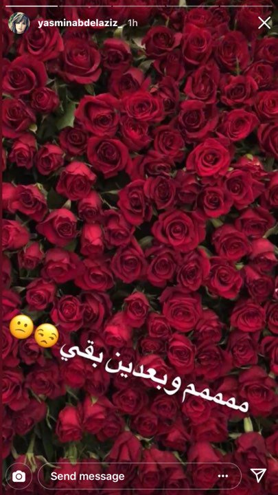 ياسمين عبد العزيز تقصف جبهة ريهام حجاج في الفلانتين 2 ياسمين عبد العزيز تقصف جبهة ريهام حجاج في الفلانتين