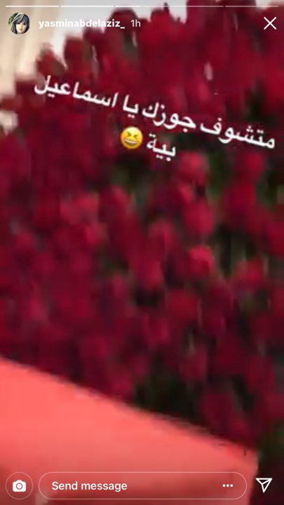 ياسمين عبد العزيز تقصف جبهة ريهام حجاج في الفلانتين 3 ياسمين عبد العزيز تقصف جبهة ريهام حجاج في الفلانتين