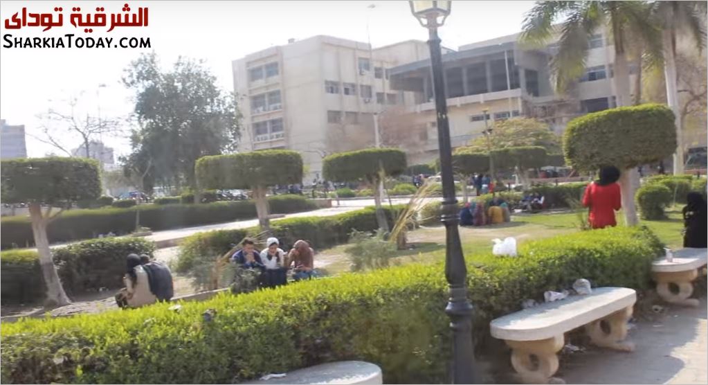 شوف الشراقوة بيحتفلوا باليوم العالمي للسعادة ازاي 1 شوف الشراقوة بيحتفلوا باليوم العالمي للسعادة ازاي