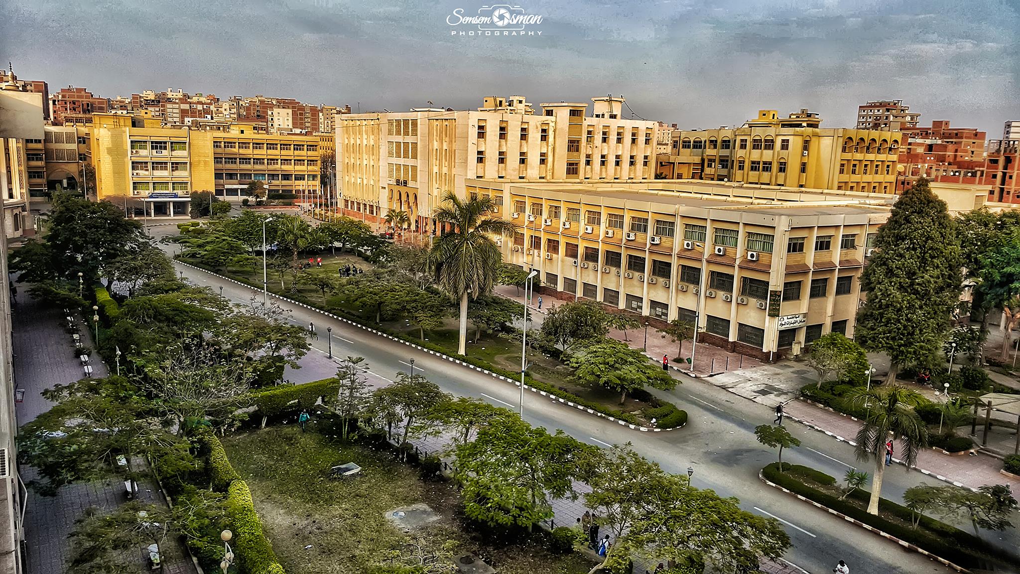 صيدلة الزقازيق تنظم مؤتمرها العلمي الثامن 20 أبريل الجاري 1 صيدلة الزقازيق تنظم مؤتمرها العلمي الثامن 20 أبريل الجاري