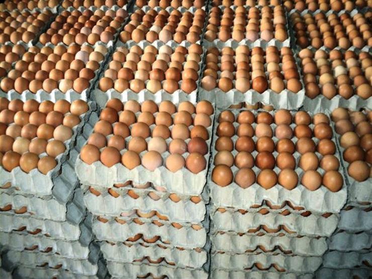 انخفاض كبير في أسعار البيض 1