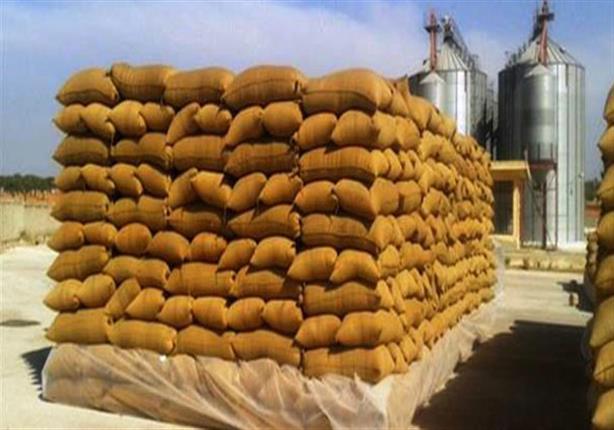 توريد أكثر من 2348 طن قمح لصوامع وشون الشرقية 1 صوامع الشرقية