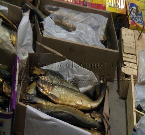 ضبط 126 طن أسماك مملحة بالشرقية غير صالحة للاستهلاك الآدمي 1 ضبط 126 طن أسماك مملحة بالشرقية غير صالحة للاستهلاك الآدمي