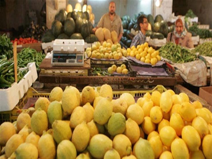 وزارة التموين تطرح الليمون للمواطنين بسعر مخفض 1 سعر الليمون في الأسواق