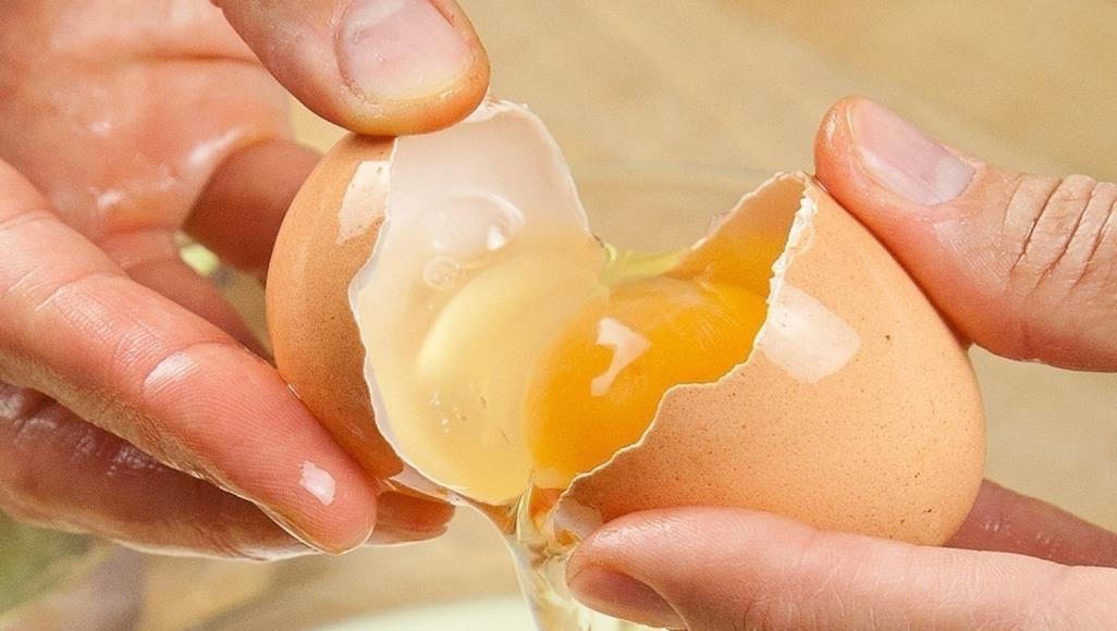 10 طرق مهمة لكشف البيض الفاسد 1 البيض
