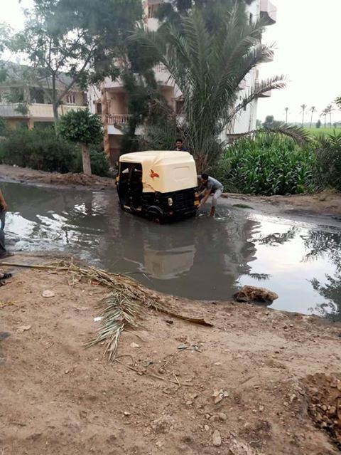 الطماطم تغرق في الصرف الصحي بقرية الحلمية بأبوحماد 3 أبوحماد