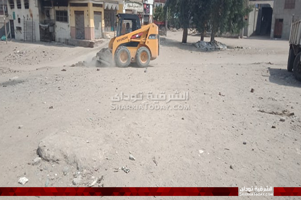 الوحدة المحلية بالصوة ترفع الكلاب الضالة بعد القضاء عليها في الشيخ زكري 4 الضالة
