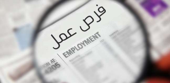 القوى العاملة تعلن عن 460 فرصة عمل جديدة براتب 3500 جنيه 1 وظائف للشباب