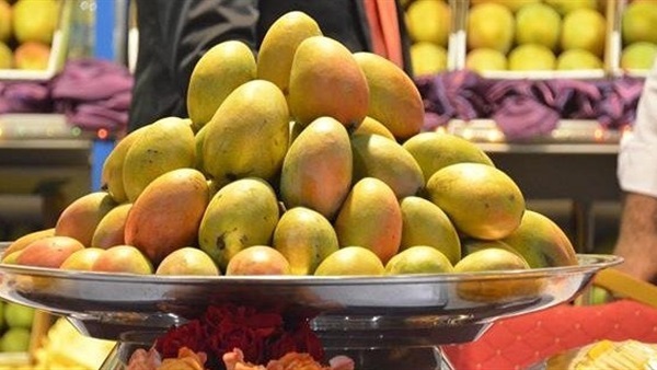 أسعار المانجو اليوم 1 المانجو