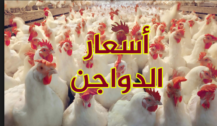 أسعار الدواجن