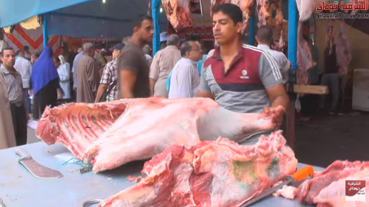 معرض القوات المسلحة في الزقازيق يبيع اللحوم والسلع بأسعار مخفضة 2 الزيق
