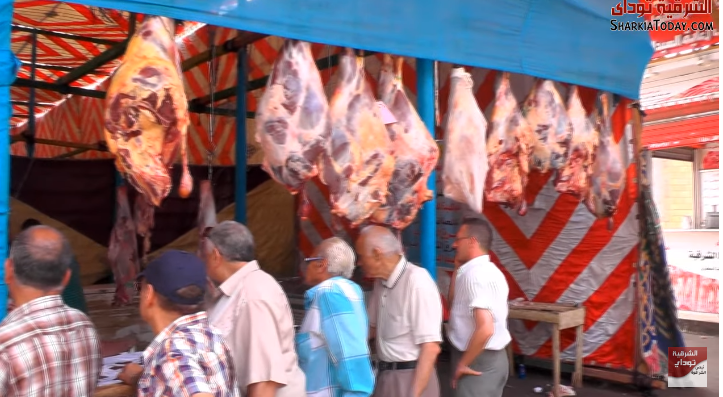 معرض القوات المسلحة في الزقازيق يبيع اللحوم والسلع بأسعار مخفضة 1 الزقازيق