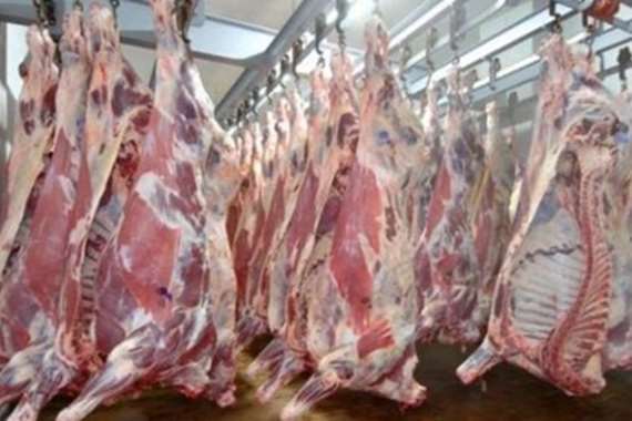 ضبط طن لحوم تم ذبحها خارج المجازر بالشرقية 1 الشرقية